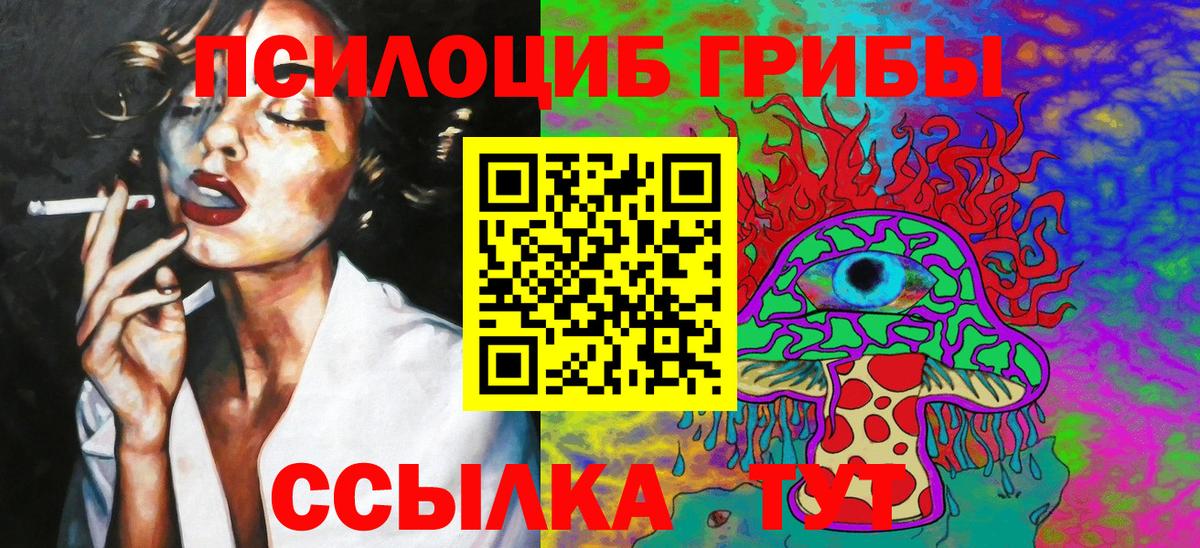 Псилоцибиновые грибы MAGIC MUSHROOMS  Вход с VPN  Элиста  Галлюциногенные грибы MAGIC MUSHROOMS 