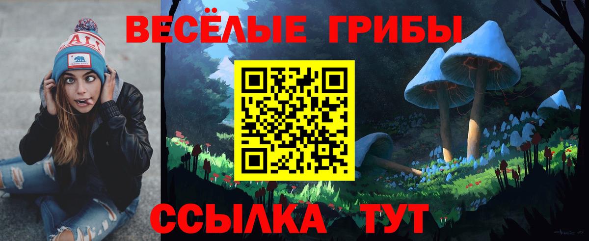 Псилоцибиновые грибы мицелий Элиста